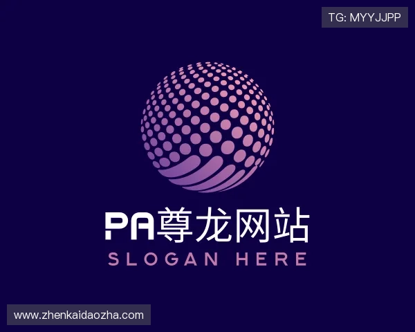 解读PA尊龙