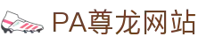PA尊龙时凯(中国区)人生就是搏!